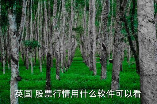 英國(guó) 股票行情用什么軟件可以看