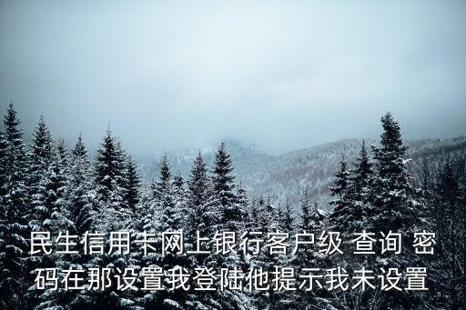 民生信用卡網(wǎng)上銀行客戶級 查詢 密碼在那設(shè)置我登陸他提示我未設(shè)置