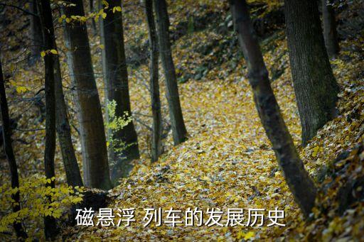 上?？罩辛熊嚰夹g(shù),上海懸掛式空中列車