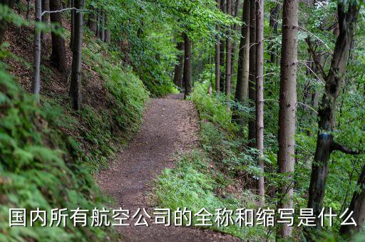 國(guó)內(nèi)所有航空公司的全稱(chēng)和縮寫(xiě)是什么