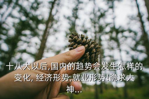 十八大以后,國(guó)內(nèi)的趨勢(shì)會(huì)發(fā)生怎樣的變化, 經(jīng)濟(jì)形勢(shì),就業(yè)形勢(shì)!跪求大神...