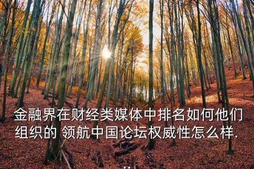  金融界在財經類媒體中排名如何他們組織的 領航中國論壇權威性怎么樣...