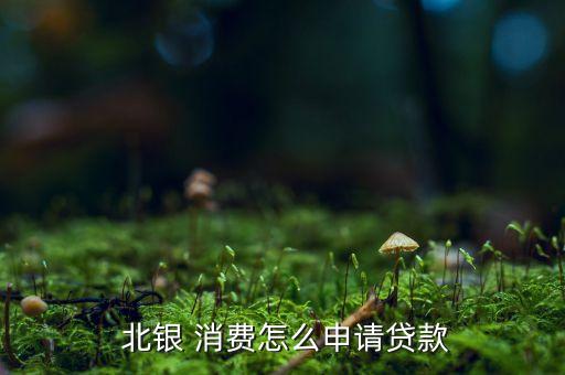  北銀 消費怎么申請貸款