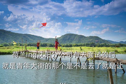  荷蘭ing沈陽分公司有去面試的嗎就是青年大街的那個是不是去了就是讓...