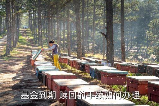 基金公司的基金怎么贖回,按基金單位可否贖回劃分,基金可分為( )