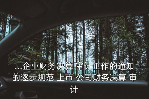 ...企業(yè)財務決算 審計工作的通知的逐步規(guī)范 上市 公司財務決算 審計