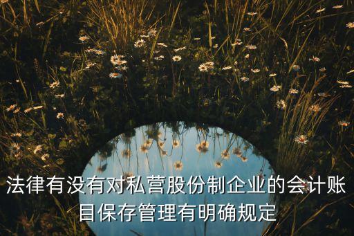 法律有沒(méi)有對(duì)私營(yíng)股份制企業(yè)的會(huì)計(jì)賬目保存管理有明確規(guī)定
