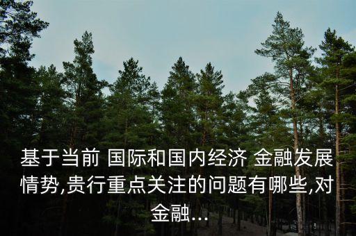 基于當(dāng)前 國際和國內(nèi)經(jīng)濟(jì) 金融發(fā)展情勢,貴行重點(diǎn)關(guān)注的問題有哪些,對 金融...