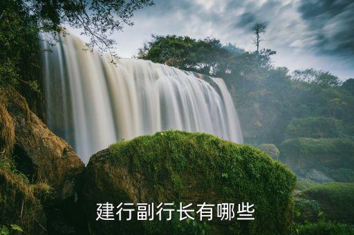 中國建設銀行山西分行領導成員,山西銀行大同分行領導成員