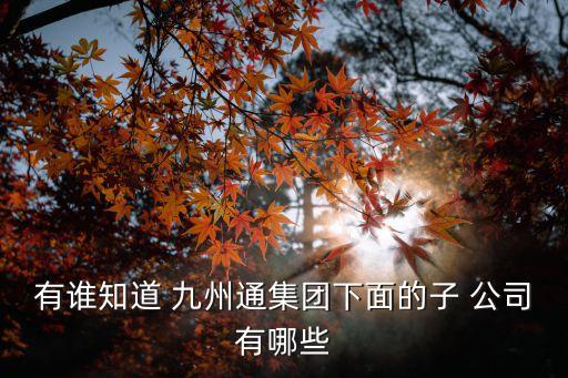湖北九州通中藥產業(yè)公司