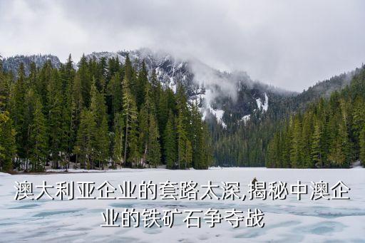 中國鋁業(yè)總經(jīng)理羅
