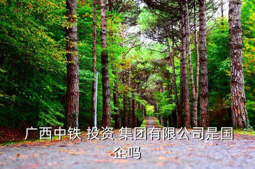 廣西鐵路投資集團領導班子,重慶鐵路投資集團有限公司領導班子