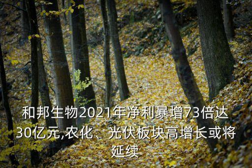 和邦生物2021年凈利暴增73倍達(dá)30億元,農(nóng)化、光伏板塊高增長或?qū)⒀永m(xù)