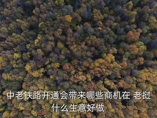 中老鐵路開(kāi)通會(huì)帶來(lái)哪些商機(jī)在 老撾什么生意好做