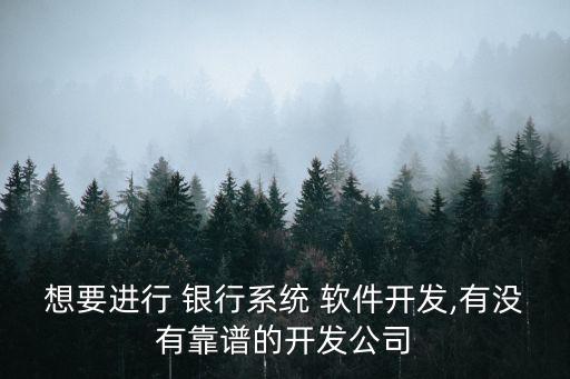 想要進(jìn)行 銀行系統(tǒng) 軟件開(kāi)發(fā),有沒(méi)有靠譜的開(kāi)發(fā)公司