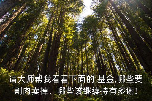 基金630002,基金支付是什么意思,是醫(yī)保報(bào)銷(xiāo)的嗎