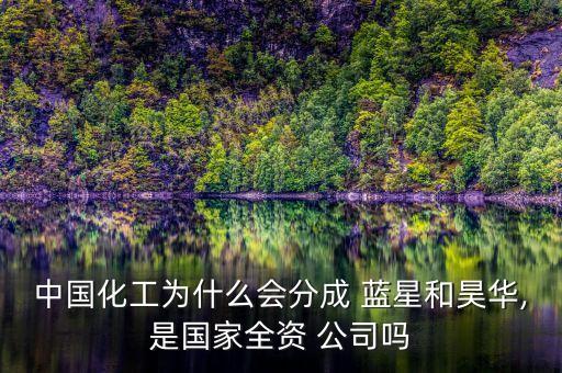 藍(lán)星有機(jī)硅國(guó)際公司,藍(lán)星星火有機(jī)硅值得去嗎