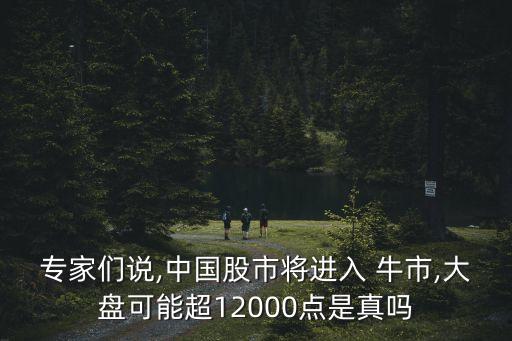 專(zhuān)家們說(shuō),中國(guó)股市將進(jìn)入 牛市,大盤(pán)可能超12000點(diǎn)是真嗎