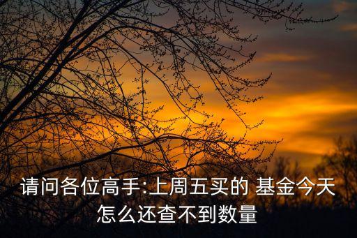 請(qǐng)問各位高手:上周五買的 基金今天怎么還查不到數(shù)量