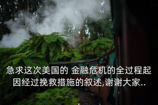 急求這次美國的 金融危機的全過程起因經過挽救措施的敘述,謝謝大家...
