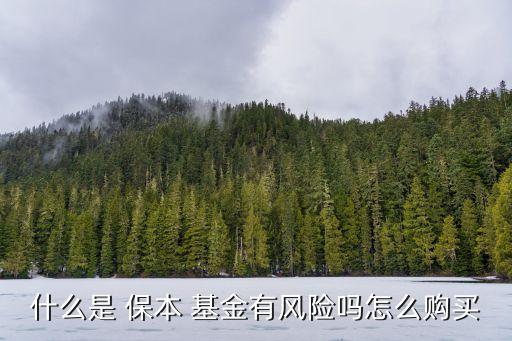 保本基金目標收益率,假設(shè)收益率不降反升,保本基金