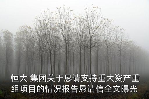  恒大 集團(tuán)關(guān)于懇請支持重大資產(chǎn)重組項(xiàng)目的情況報(bào)告懇請信全文曝光