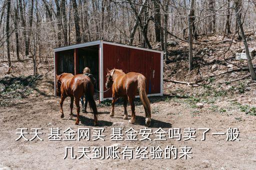 天天 基金網買 基金安全嗎賣了一般幾天到賬有經驗的來