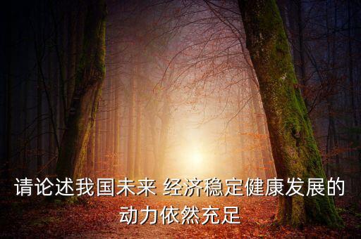 請(qǐng)論述我國(guó)未來(lái) 經(jīng)濟(jì)穩(wěn)定健康發(fā)展的動(dòng)力依然充足