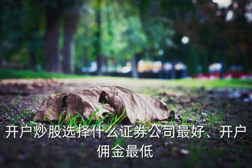 開戶炒股選擇什么證券公司最好、開戶傭金最低
