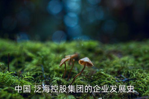 中國 泛?？毓杉瘓F(tuán)的企業(yè)發(fā)展史