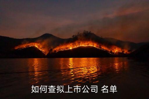 中國證監(jiān)會最新ipo預披露名單
