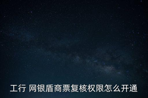 工行 網(wǎng)銀盾商票復核權(quán)限怎么開通