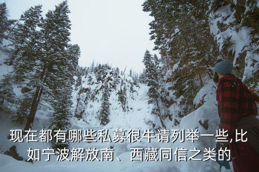 現(xiàn)在都有哪些私募很牛請(qǐng)列舉一些,比如寧波解放南、西藏同信之類的