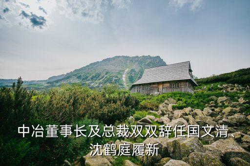  中冶董事長及總裁雙雙辭任國文清、沈鶴庭履新