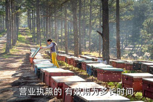 營業(yè)執(zhí)照的 有效期為多長時(shí)間