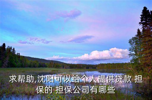 求幫助,沈陽(yáng)可以給個(gè)人提供貸款 擔(dān)保的 擔(dān)保公司有哪些