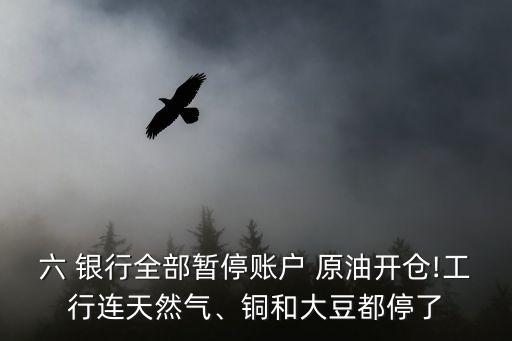 六 銀行全部暫停賬戶 原油開倉!工行連天然氣、銅和大豆都停了