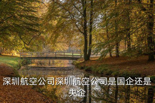 深圳航空公司深圳航空公司是國(guó)企還是央企