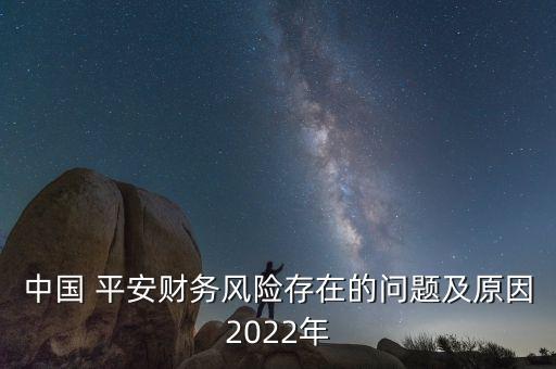 中國(guó) 平安財(cái)務(wù)風(fēng)險(xiǎn)存在的問題及原因2022年