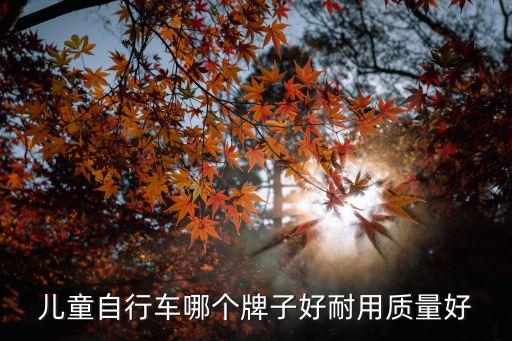 兒童自行車(chē)哪個(gè)牌子好耐用質(zhì)量好