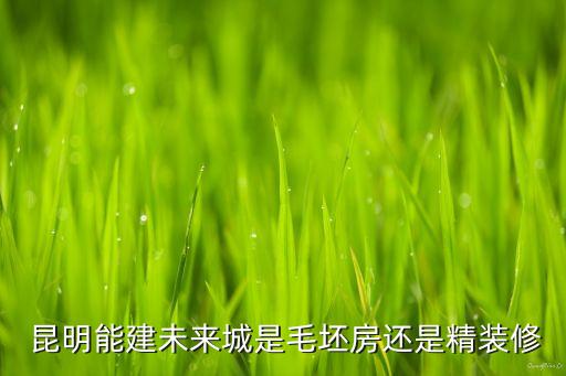  昆明能建未來(lái)城是毛坯房還是精裝修