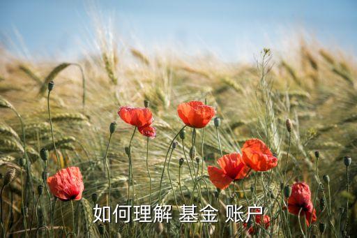 基金交易賬戶和基金賬戶的區(qū)別,醫(yī)保賬戶與醫(yī)?；鹳~戶區(qū)別