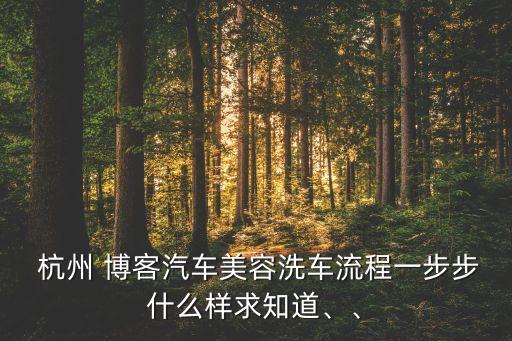  杭州 博客汽車(chē)美容洗車(chē)流程一步步什么樣求知道、、