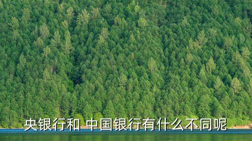 中國銀行和中國人民銀行區(qū)別,四大銀行哪個(gè)是老大