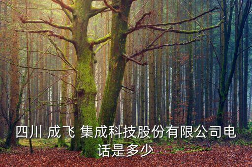 四川 成飛 集成科技股份有限公司電話(huà)是多少