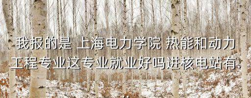 我報的是 上海電力學院 熱能和動力工程專業(yè)這專業(yè)就業(yè)好嗎進核電站有...