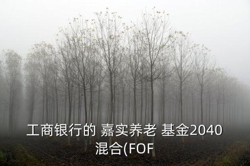 工商銀行的 嘉實(shí)養(yǎng)老 基金2040混合(FOF