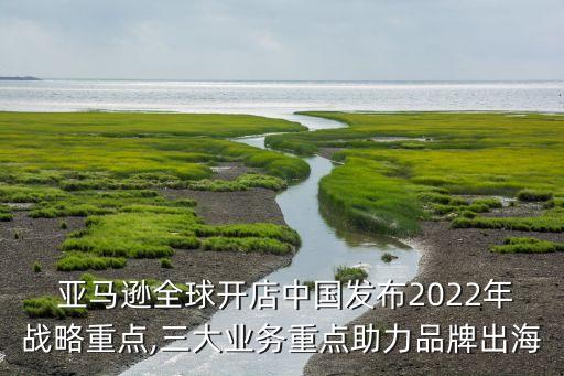  亞馬遜全球開店中國發(fā)布2022年戰(zhàn)略重點(diǎn),三大業(yè)務(wù)重點(diǎn)助力品牌出海