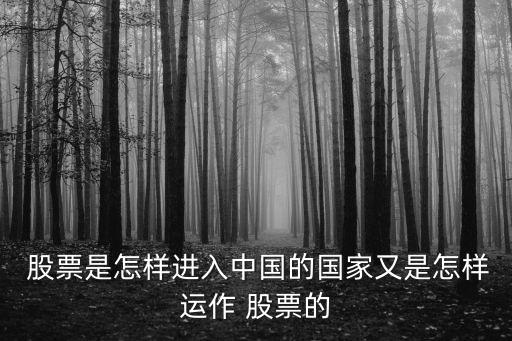  股票是怎樣進(jìn)入中國的國家又是怎樣運作 股票的