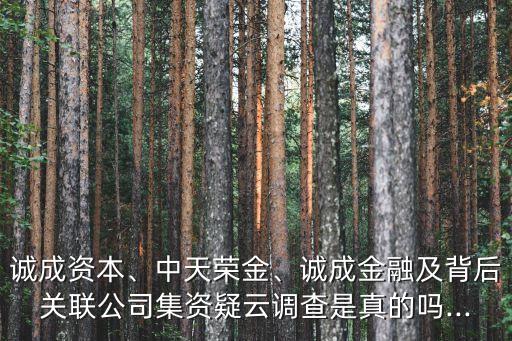 誠成資本、中天榮金、誠成金融及背后關(guān)聯(lián)公司集資疑云調(diào)查是真的嗎...